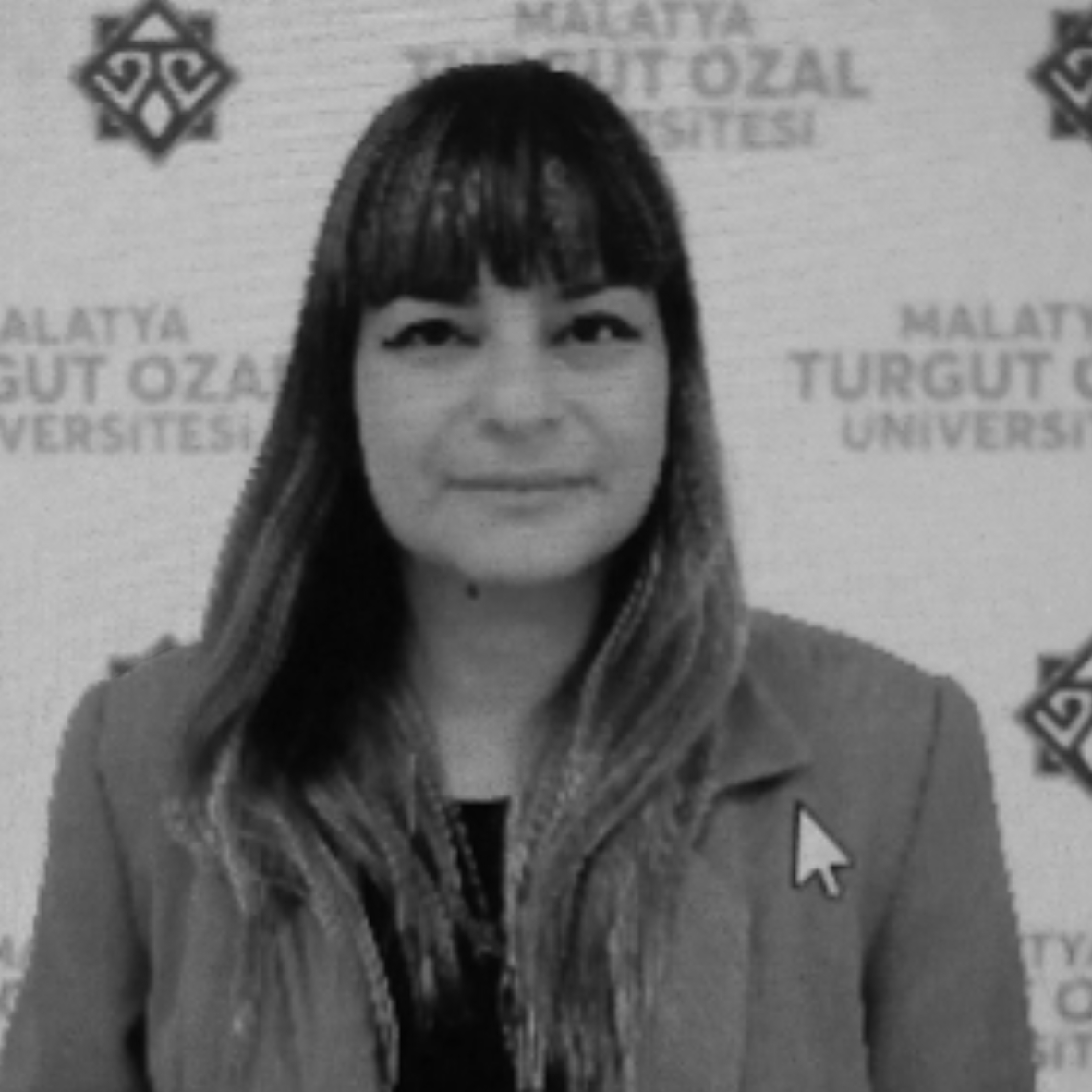 D. Tülay Özkul